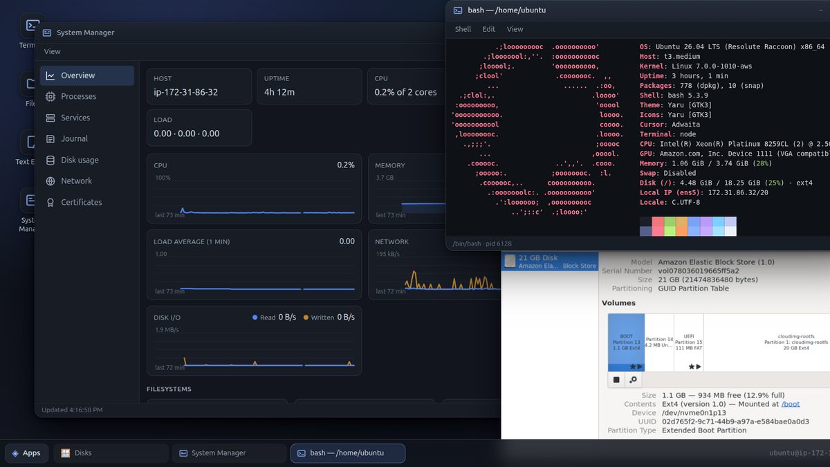 Finestra: system manager, terminal and GNOME Disks in a browser tab
